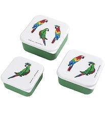 Petit Jour Paris Lunchbox Set - 3 pcs - 11.5 x 5.5 cm - Parrots