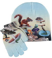 Molo Beanie/Gloves - Kaya - Fungi Forest