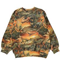 Molo Sweatshirt - Monti - Dino Quaste