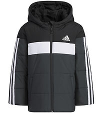 adidas Performance Fóðraður jakki - LK PAD JKT - Svart