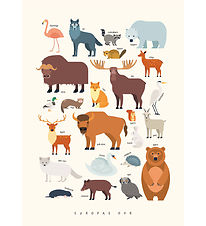 Citatplakat Affisch - Barnaffisch - Animals of Europe - A3