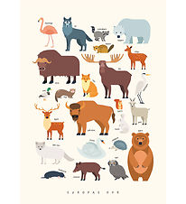 Citatplakat Poster - Kinderposter - Dieren van Europa - A3