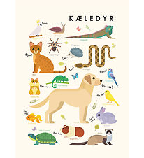 Citatplakat Poster - Kinderposter - Huisdieren - A3