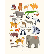 Citatplakat Poster - Kinderplakat - Tiere Asiens - A3