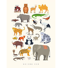 Citatplakat Poster - Kinderposter - Dieren van Azi - A3