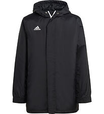 adidas Performance Steppjacke - ENT22 STAD JKTY - Schwarz