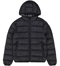 Champion Padded Jacket - Hooded - Navy