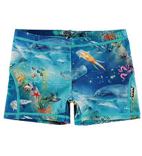 Molo Swim Trunks - UV50+ - Norton - Ocean Zones