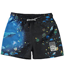 Molo Swim Trunks - UV50+ - Niko - Plankton