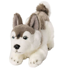 Living Nature Peluche - 23x15 cm - Husky Chiot ludique - Gris