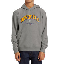 DC Schuhe Kapuzenpullover - Orientierung PH - Grau