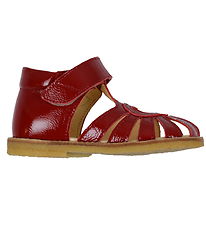 Angulus Sandals - Beginner - Dark Ed