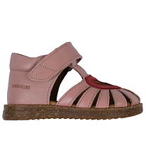 Angulus Sandals - Beginner - Rose/Ed