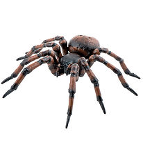 Papo Spider - L: 6 cm