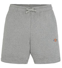 Dickies Íþrótta stuttbuxur - Youth Mapleton - Heather Grey
