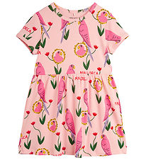 Mini Rodini Kleid - Papagei Aop - Pink