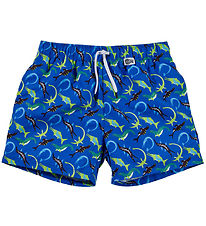 BECO Shorts de Bain - Ocean Dinos - Bleu