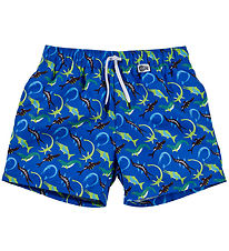 BECO Swim Shorts - Ocean Dinos - UV50+ - Blue