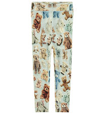 Molo Leggings - Wool - Sting - Teddy Galore