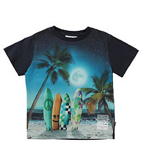 Molo Stuttermabolur - Rame - Sunset Surfer