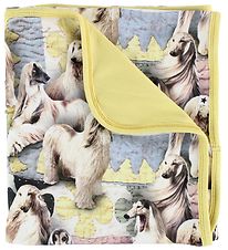 Molo Blanket - 80x75 - Neala - Dogtastic