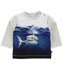 Molo Blouse - Enovan - Shark Smile