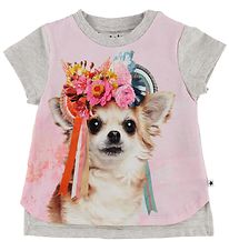Molo T-shirt - Erin - Grey Melange/Rose w. Chihuahua