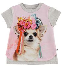 Molo T-Shirt - Erin - Chihuahua