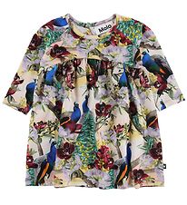 Molo Dress - Carlys - Oriental Peacocks