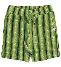 Molo Sweat Shorts - Arnt - Cactus