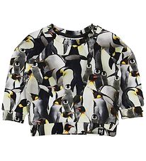 Molo Sweat-shirt - Jour - Pingouins  profusion