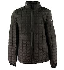 Champion Fashion Padded Jacket- Dark Army Green