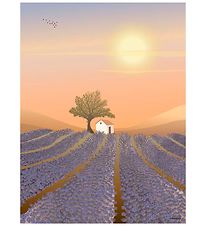 Vissevasse Poster - 50x70 - Lavender Field
