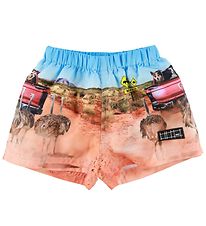 Molo Shorts de Bain - UV50+ - Newton - Dans la brousse