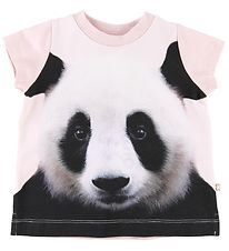 Molo -T-Shirt - Elly - Baby Pandis