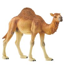 Schleich Dýr - H: 11 cm - Dromedary 14832