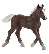 Schleich Animal - H:9 cm - Black Forrest Foal 13899