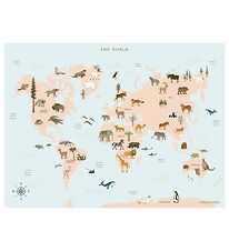 Vissevasse Poster - 50x70 - World Map Animal