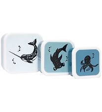 Petit Monkey Lunchbox Set - 3 pcs - Sea Animals