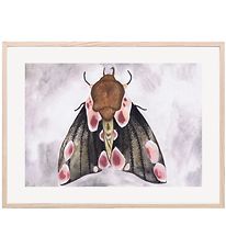 That's Mine Veggspjald - 30x40 - A Moth's Beauty