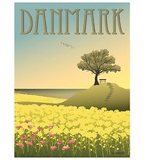 Vissevasse Poster - 30x40 - Danemarque - Les champs de colza
