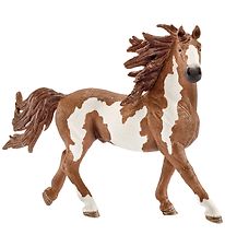 Schleich Animal - 16 x 10,5 cm - Pinto talon 13794