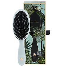 Fan Palm Hárbursti - Medium+ - Maldíveyjar