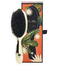 Fan Palm Hairbrush - Medium - Hollywood