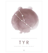 Citatplakat Affisch - A3 - TYR - Rosa