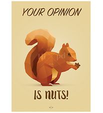 Hipd Poster - A4 - Squirrel