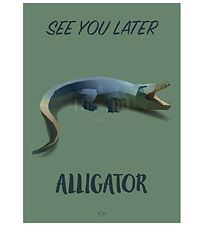 Hipd Poster - A4 - Alligator