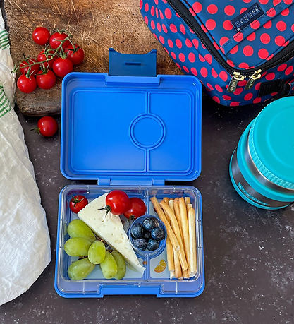 Yumbox Lunchbox w. 3 Rooms - Bento Snack - Surf Blue - Dino Tray