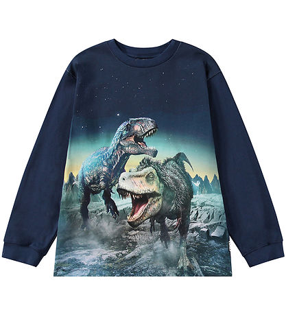 Molo Blouse - Rube - Playing Dinos