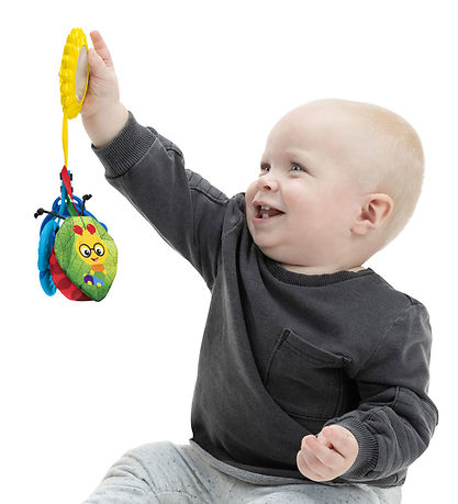 Baby Einstein Activity Toy w. Clip Toy - Touch Of Nature Sens